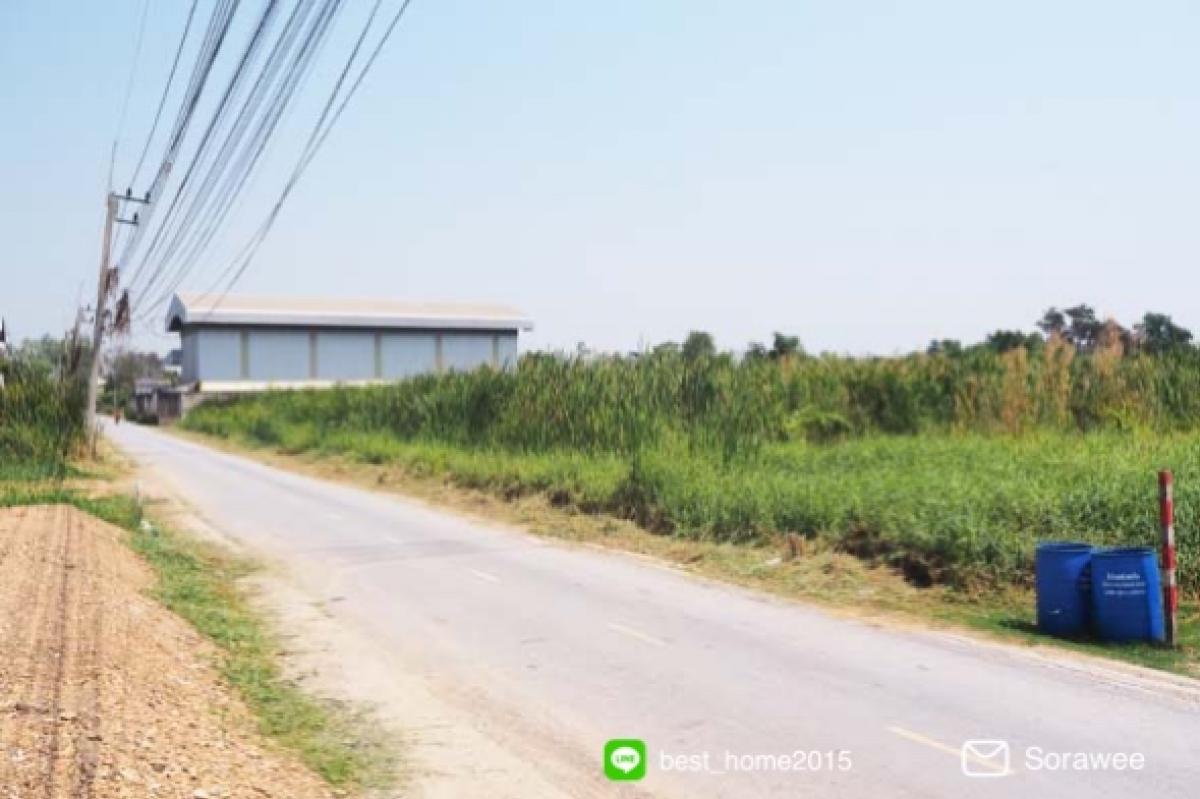For SaleLandPathum Thani,Rangsit, Thammasat : Land for sale, 709 sq m, Lat Lum Kaeo, Pathum Thani, suitable for building a warehouse or factory.