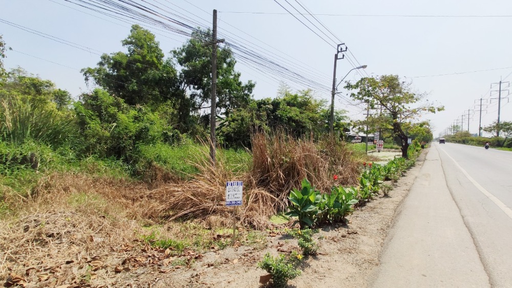 ขายที่ดินมีนบุรี-ร่มเกล้า : ขาย ที่ดินเปล่า 1 งาน ( 109 ตารางวา ) ติดถนนประชาสำราญ แขวงหนองจอก เขตหนองจอก กรุงเทพมหานคร