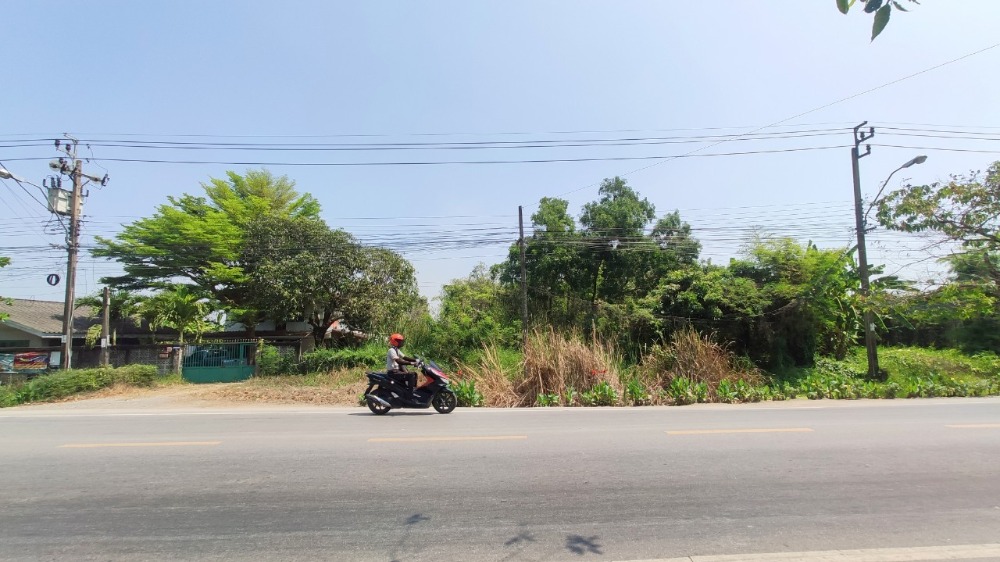 ขายที่ดินมีนบุรี-ร่มเกล้า : ขาย ที่ดินเปล่า 1 งาน ( 109 ตารางวา ) ติดถนนประชาสำราญ แขวงหนองจอก เขตหนองจอก กรุงเทพมหานคร