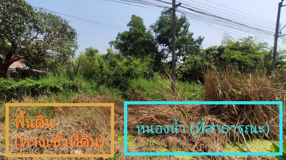 ขายที่ดินมีนบุรี-ร่มเกล้า : ขาย ที่ดินเปล่า 1 งาน ( 109 ตารางวา ) ติดถนนประชาสำราญ แขวงหนองจอก เขตหนองจอก กรุงเทพมหานคร