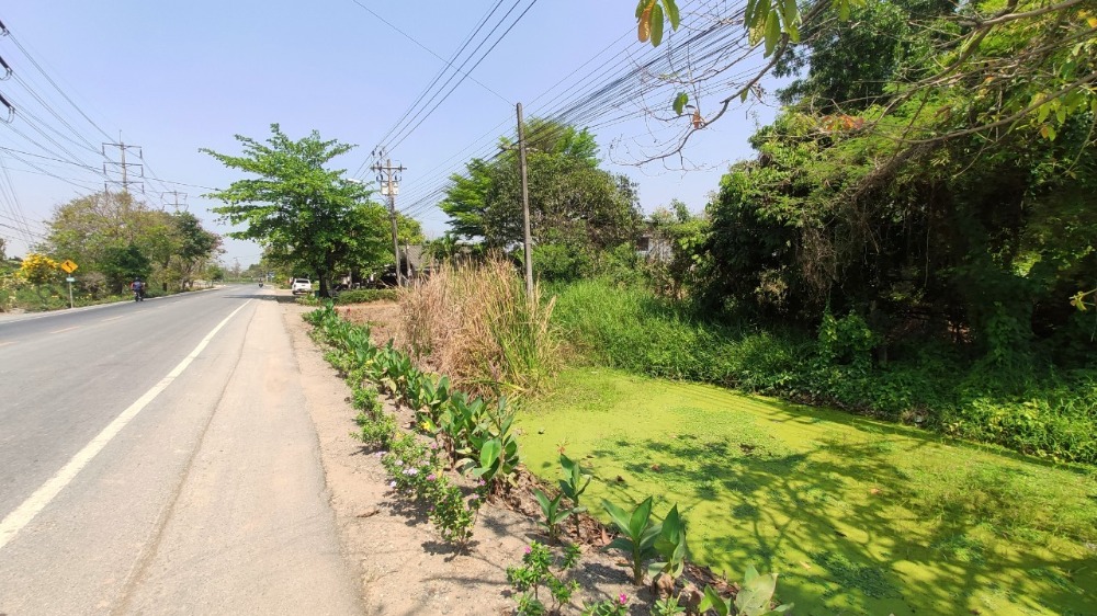 ขายที่ดินมีนบุรี-ร่มเกล้า : ขาย ที่ดินเปล่า 1 งาน ( 109 ตารางวา ) ติดถนนประชาสำราญ แขวงหนองจอก เขตหนองจอก กรุงเทพมหานคร