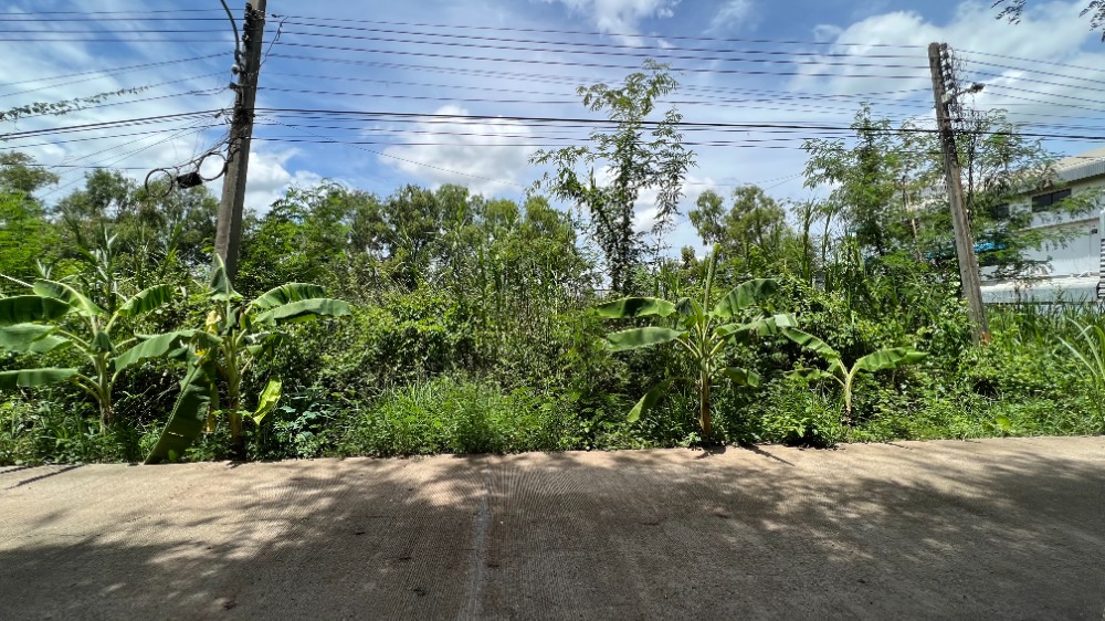 ขายที่ดินปทุมธานี รังสิต ธรรมศาสตร์ : ขาย ที่ดิน 101 ตรว. ซอยคลองหลวง 33 หรือซอยเรืองผึ้ง ต. คลองหนึ่ง อ. คลองหลวง จ,ปทุมธานี