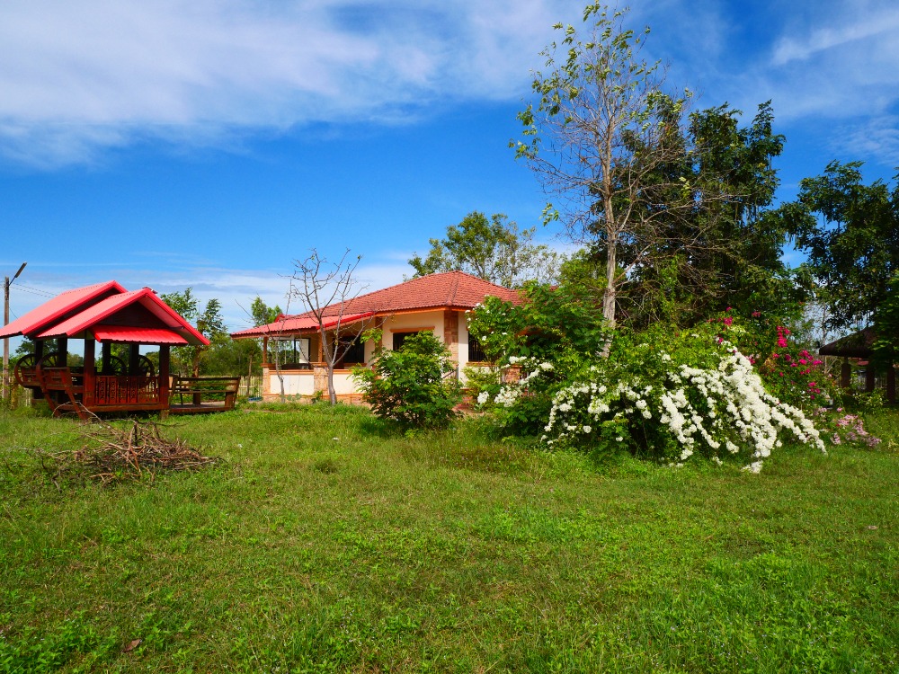 ขายบ้านบุรีรัมย์ : ขาย บ้านเดี่ยว ประโคนชัย บุรีรัมย์ House for sale in Prakhon Chai, Buriram.