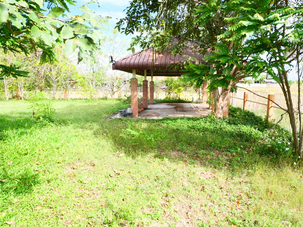 ขายบ้านบุรีรัมย์ : ขาย บ้านเดี่ยว ประโคนชัย บุรีรัมย์ House for sale in Prakhon Chai, Buriram.