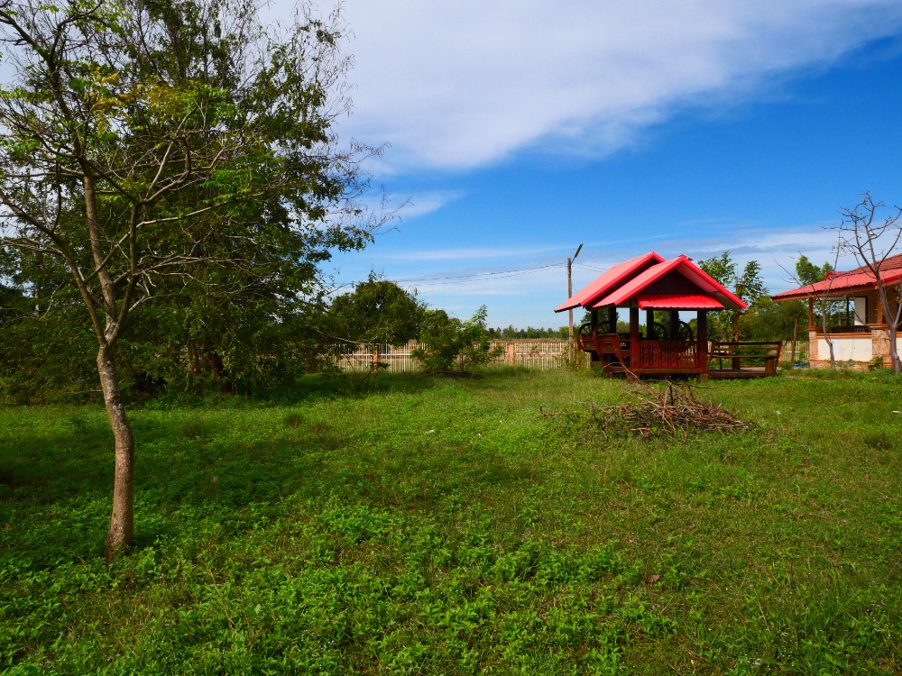 ขายบ้านบุรีรัมย์ : ขาย บ้านเดี่ยว ประโคนชัย บุรีรัมย์ House for sale in Prakhon Chai, Buriram.