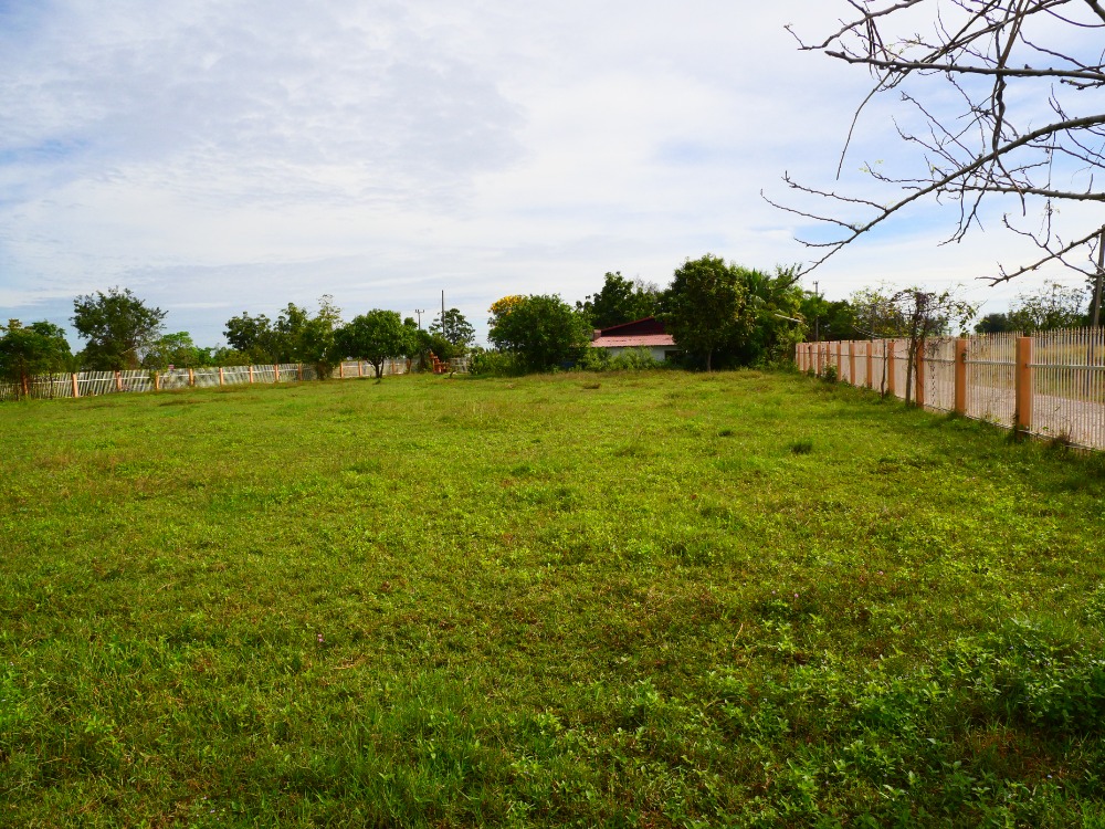 ขายบ้านบุรีรัมย์ : ขาย บ้านเดี่ยว ประโคนชัย บุรีรัมย์ House for sale in Prakhon Chai, Buriram.