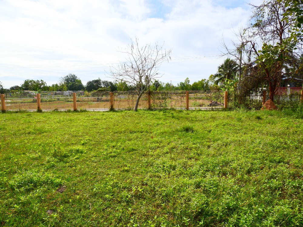 ขายบ้านบุรีรัมย์ : ขาย บ้านเดี่ยว ประโคนชัย บุรีรัมย์ House for sale in Prakhon Chai, Buriram.