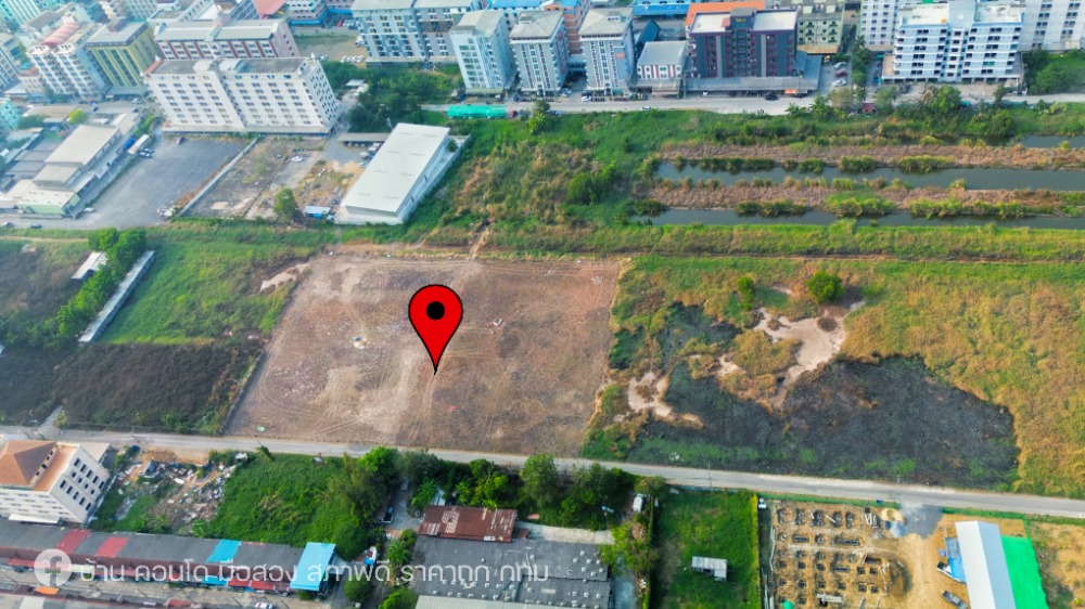 For SaleLandPathum Thani,Rangsit, Thammasat : Land for sale, klonglaung phathumthani opposite to the univercity