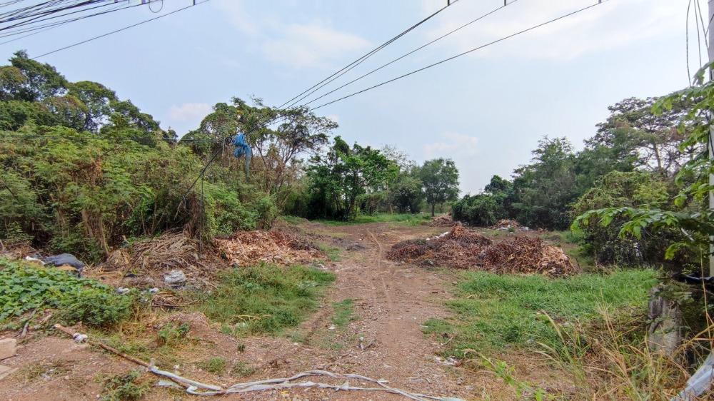 For SaleLandPathum Thani,Rangsit, Thammasat : Land for sale, 73 rai, Klong Nueng, Pathum Thani, next to Leab Klong Rapeephat Road and only 1 km. from Phaholyothin Road.