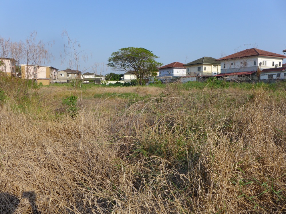 ขายที่ดินนวมินทร์ รามอินทรา : ขาย ที่ดิน เปล่า ซอย เพิ่มสิน 64 สายไหม กรุงเทพ