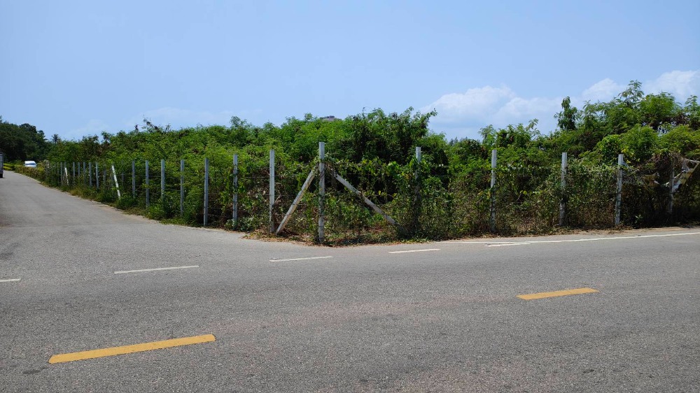 For SaleLandHuahin, Prachuap Khiri Khan, Pran Buri : Land for sale, 662 square wah, Pak Nam Pran, Pranburi, Prachuap Khiri Khan.