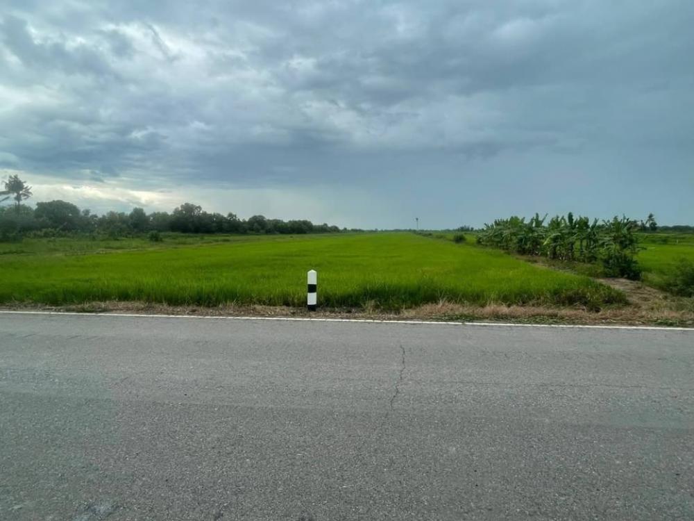 ขายที่ดินนครนายก : ที่ดินเปล่า 28 ไร่ รังสิต นครนายก คลอง15  ติดถนน ถูกที่สุด