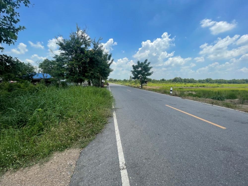 ขายที่ดินนครนายก : ที่ดินเปล่า 28 ไร่ รังสิต นครนายก คลอง15  ติดถนน ถูกที่สุด