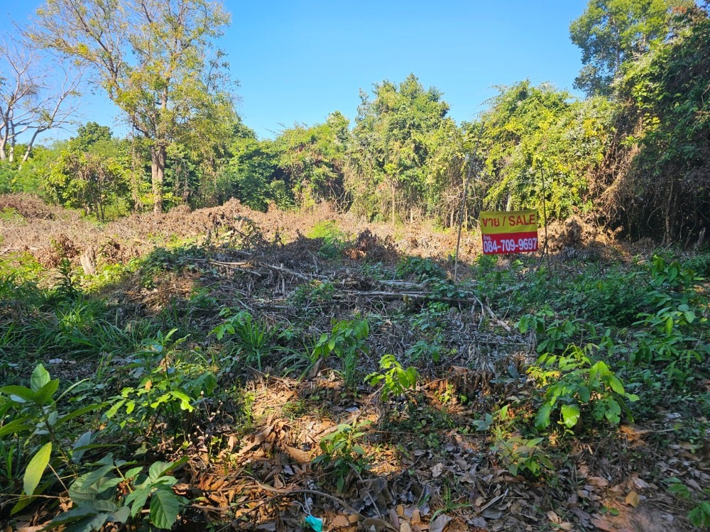 For SaleLandBueng Kan : Sell ​​Bueng Bueng Kan, only 650,000 baht, 387 square meters, 40 × 40 meters. Interested 0847099697