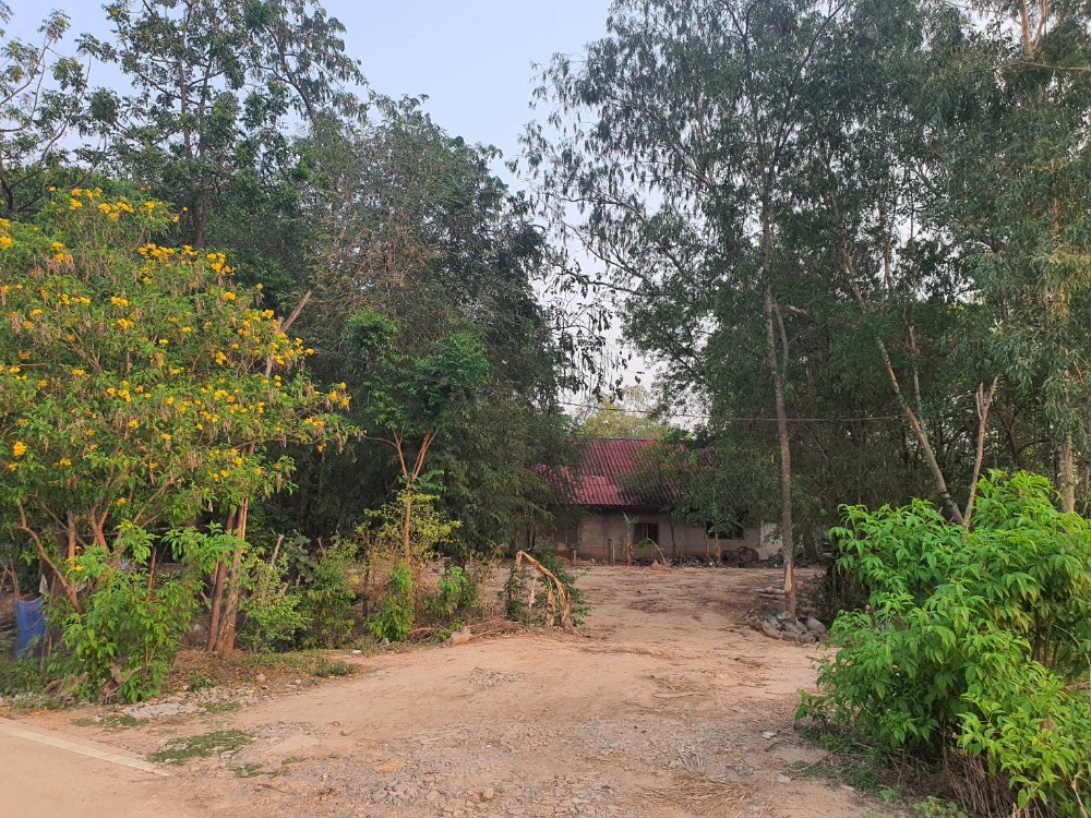 For SaleLandMaha Sarakham : Land for sale near Wat Wang Nam Yen Maha Sarakham