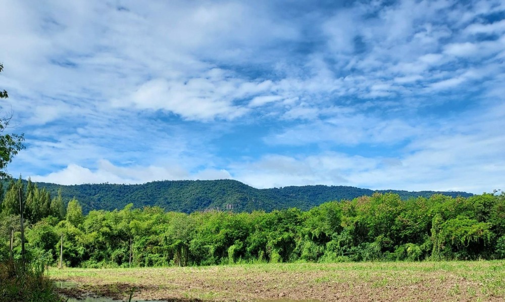 For SaleLandPak Chong KhaoYai : Land for sale 5-2-40 rai, Pak Chong, Khao Yai, good location, near tourist attractions Toscana, about 1 km.