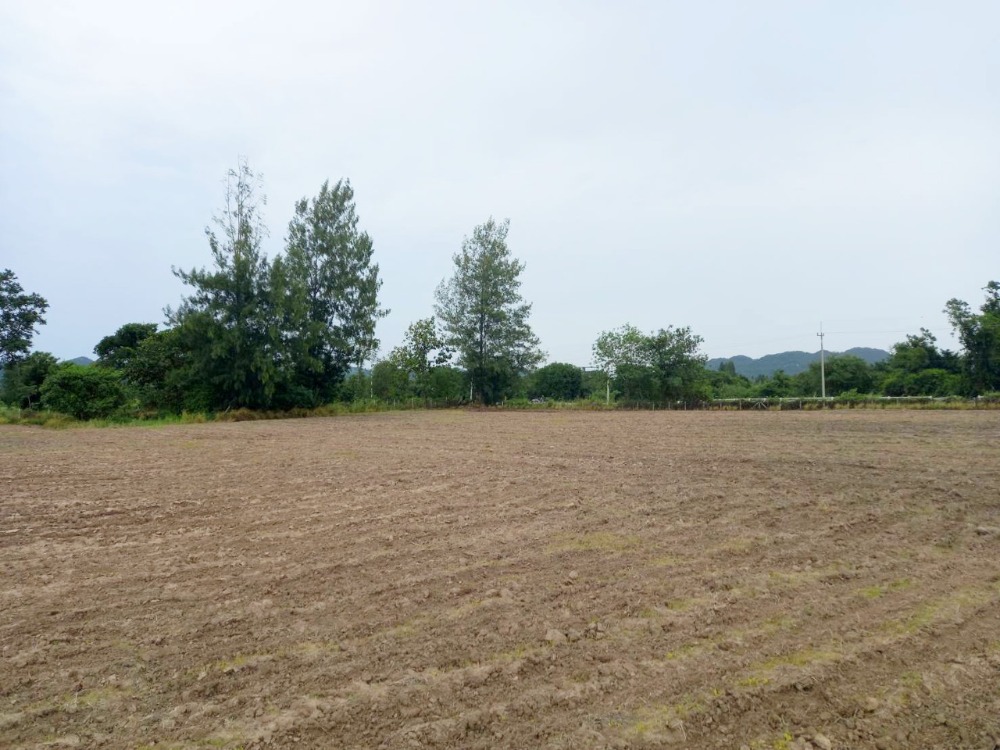 For SaleLandPak Chong KhaoYai : Land for sale 25-1-52 rai, Pong Ta Long, Pak Chong, Khao Yai, near Tawee Farm and Toscana.