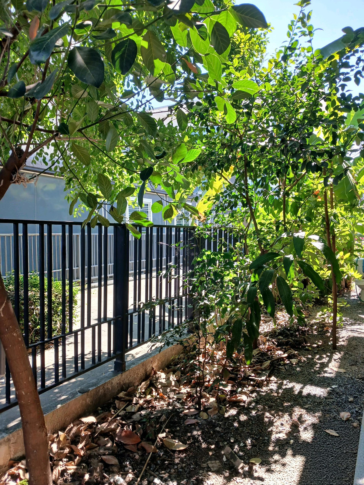 ให้เช่าทาวน์โฮมสมุทรปราการ สำโรง : 🚩🌟🍀 ให้เช่า/ขาย Pruksa Ville 76 บางนา-วงแหวน ทาวน์โฮม 2 ชั้น พื้นที่เยอะ  ทำเลดีสุด วิวไม่บล๊อค บ้านไม่บัง หลังบ้านไม่ชนใคร ใกล้ทางด่วน เมกะ
อีเกีย✅