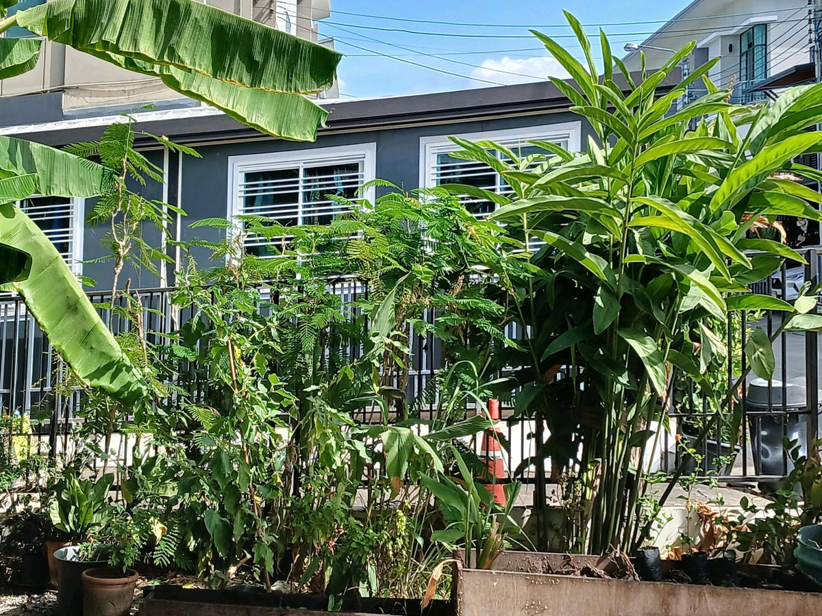 ให้เช่าทาวน์โฮมสมุทรปราการ สำโรง : 🚩🌟🍀 ให้เช่า/ขาย Pruksa Ville 76 บางนา-วงแหวน ทาวน์โฮม 2 ชั้น พื้นที่เยอะ  ทำเลดีสุด วิวไม่บล๊อค บ้านไม่บัง หลังบ้านไม่ชนใคร ใกล้ทางด่วน เมกะ
อีเกีย✅