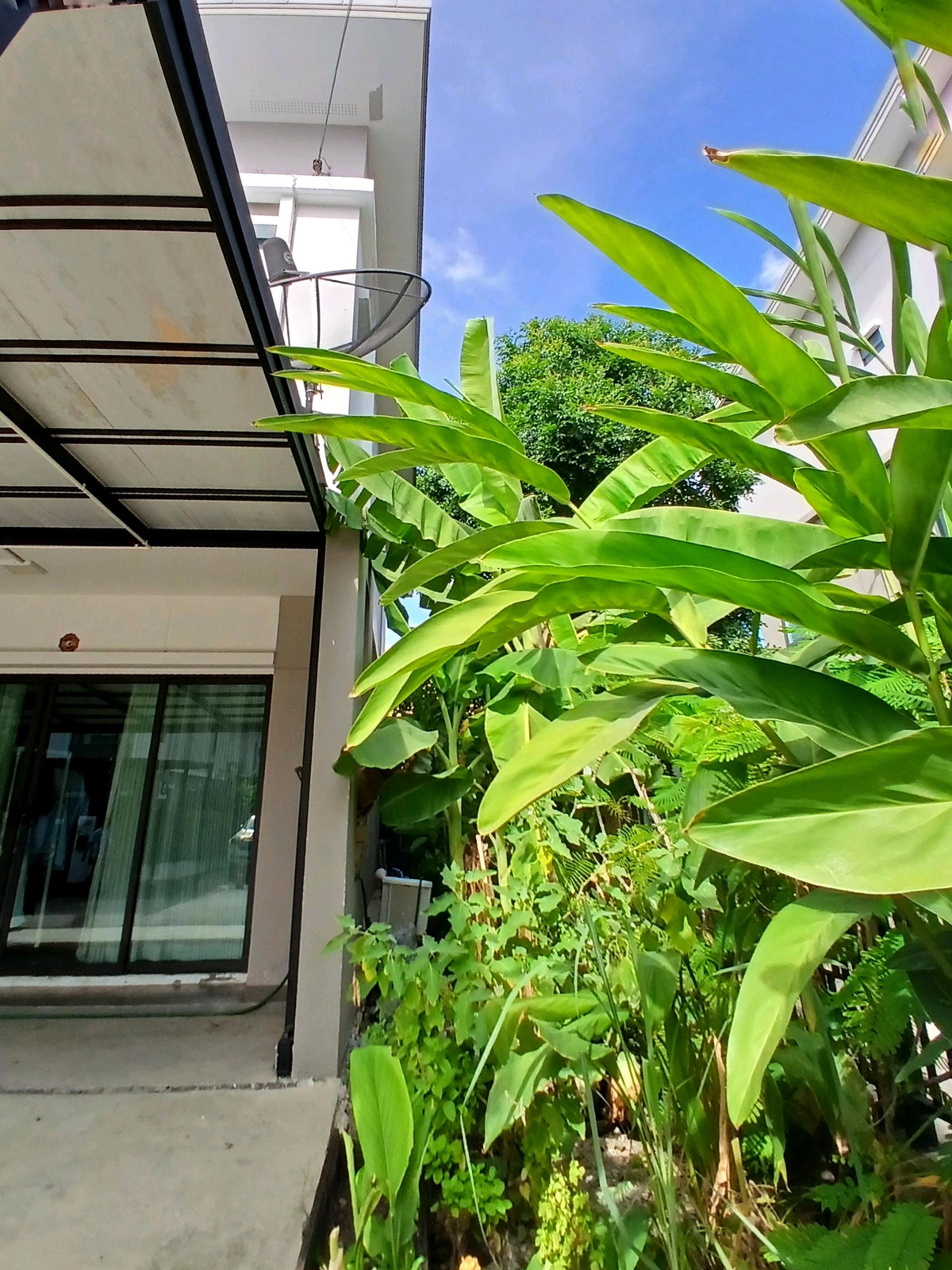 ให้เช่าทาวน์โฮมสมุทรปราการ สำโรง : 🚩🌟🍀 ให้เช่า/ขาย Pruksa Ville 76 บางนา-วงแหวน ทาวน์โฮม 2 ชั้น พื้นที่เยอะ  ทำเลดีสุด วิวไม่บล๊อค บ้านไม่บัง หลังบ้านไม่ชนใคร ใกล้ทางด่วน เมกะ
อีเกีย✅