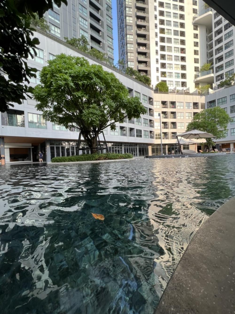 For SaleCondoBangna, Bearing, Lasalle : Ideo O2 condo best for sell near BTS Bangna BTS Udomsuk & Bitec exhibition hall