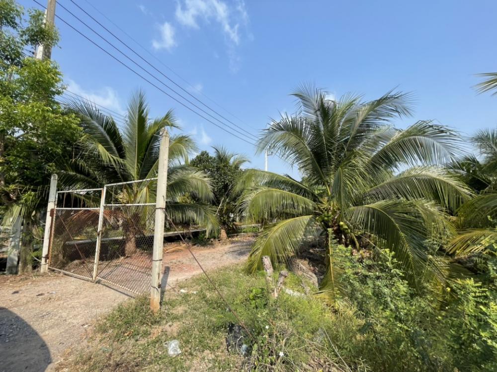 For SaleLandMahachai Samut Sakhon : Looking for a new owner Land along Damnoen Saduak Canal, 4 rai 37 sq m, beautiful plot, good location. 900 meters from Lak Si Samoson Temple, Samut Sakhon Province