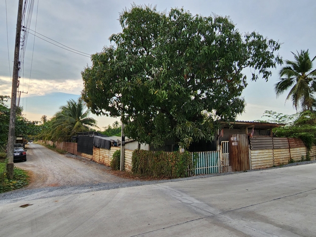 ขายที่ดินพุทธมณฑล ศาลายา : ขายที่ดินเปล่า แปลงมุม ซอยวัดเชิงเลน ขนาด 9 ไร่ 25 ตารางวา หน้ากว้าง 148 เมตร ใกล้ถนนเพชรเกษมเพียง 4.9 กิโลเมตร