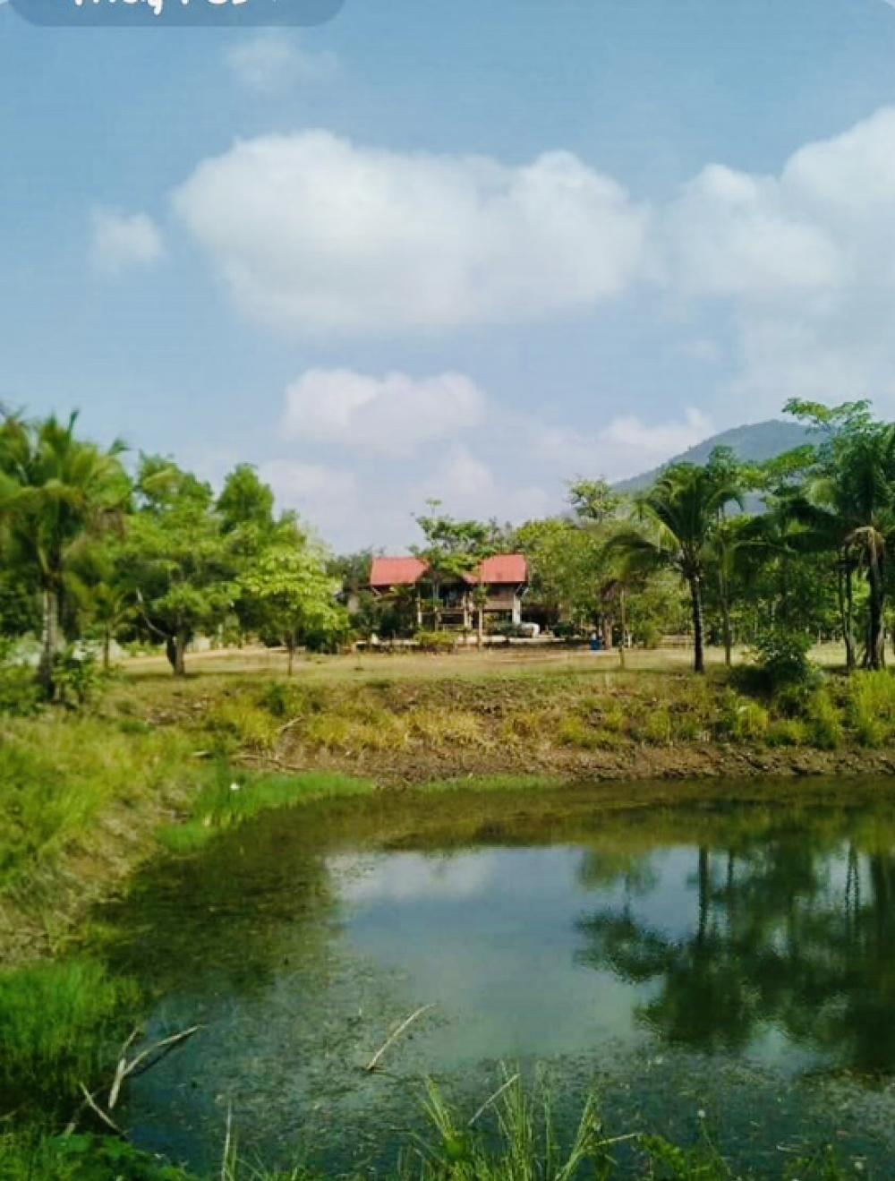 For SaleLandPak Chong KhaoYai : Land for sale in Khao Yai, Wang Sai, 52 rai, near Phu Phra Bat, Wang Sai Hill, Lapang Hill Pool Villa