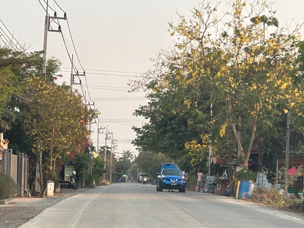 ขายที่ดินอยุธยา : ขายที่ดิน 45ไร่ 2.39 กิโลถึงมอเตอร์เวย์วังน้อย Tel. 093 296 2878 ติดถนนคอนกรีตตัดผ่านทั้งหน้าและหลัง 2.8 โล ถึงนิคมอุตสาหหกรรมจีน 093 296 2878