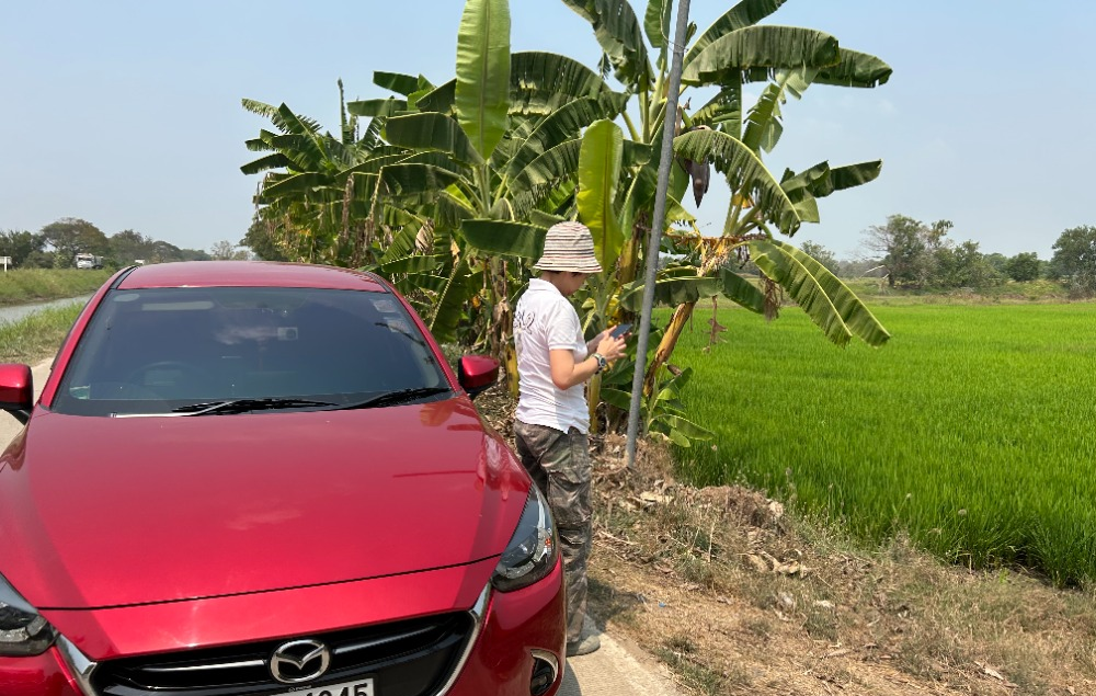 ขายที่ดินอยุธยา : ขายที่ดิน 45ไร่ 2.39 กิโลถึงมอเตอร์เวย์วังน้อย Tel. 093 296 2878 ติดถนนคอนกรีตตัดผ่านทั้งหน้าและหลัง 2.8 โล ถึงนิคมอุตสาหหกรรมจีน 093 296 2878