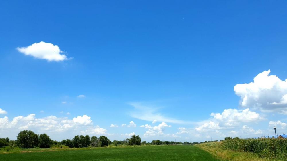 ขายที่ดินอยุธยา : ขายที่ดิน 45ไร่ 2.39 กิโลถึงมอเตอร์เวย์วังน้อย Tel. 093 296 2878 ติดถนนคอนกรีตตัดผ่านทั้งหน้าและหลัง 2.8 โล ถึงนิคมอุตสาหหกรรมจีน 093 296 2878