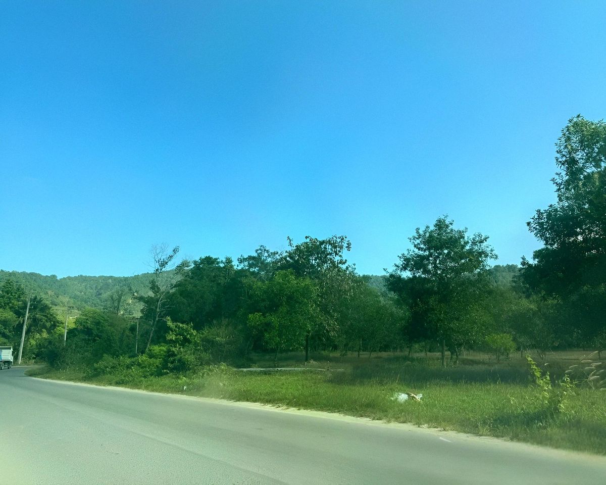 ขายที่ดินภูเก็ต : ขายที่ดินแปลงใหญ่ กมลา ภูเก็ต 22-2-04 ไร่ พื้นราบ วิวภูเขา ใกล้หาดกมลา เพียง 1.2 กม. ราคาเพียง 460 ล้าน