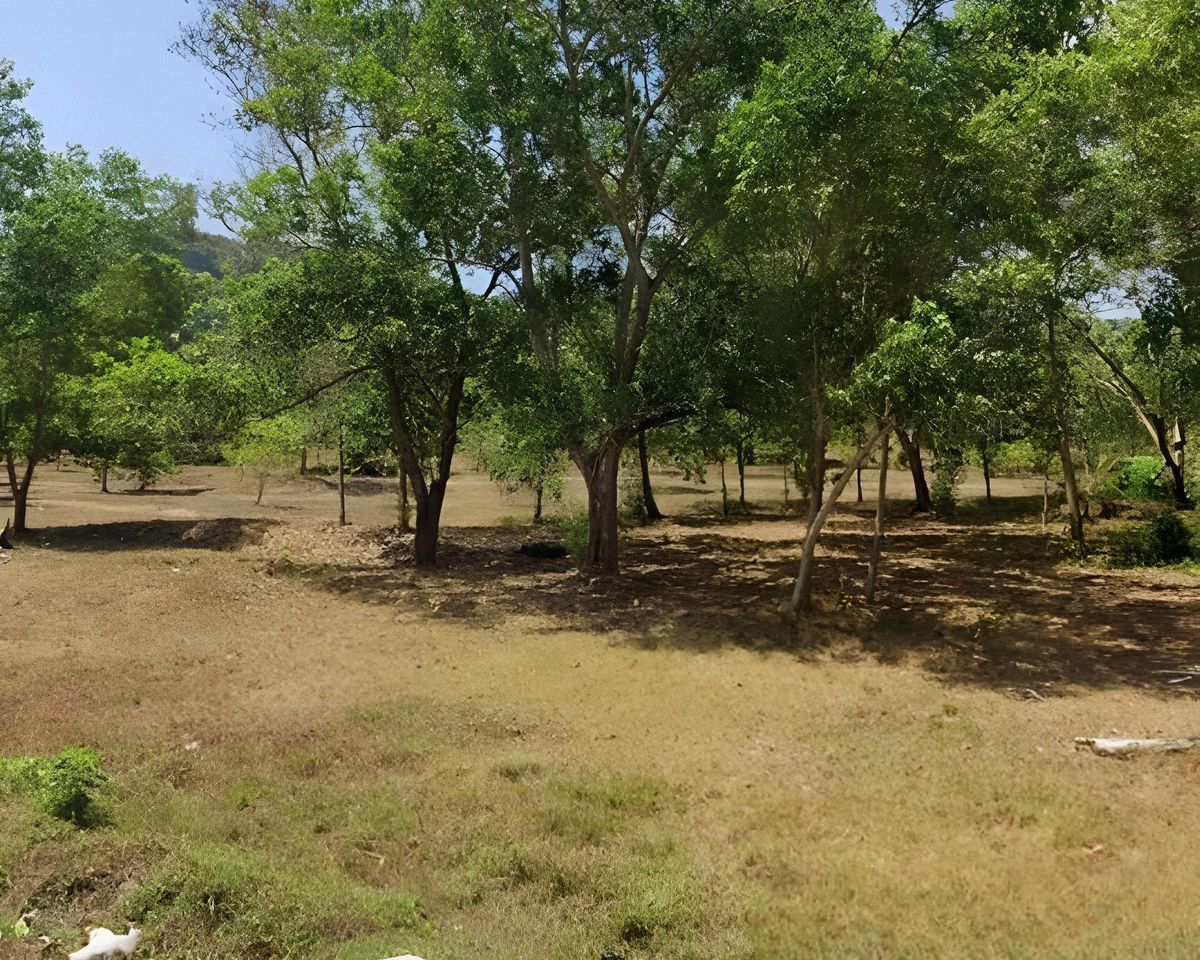 ขายที่ดินภูเก็ต : ขายที่ดินแปลงใหญ่ กมลา ภูเก็ต 22-2-04 ไร่ พื้นราบ วิวภูเขา ใกล้หาดกมลา เพียง 1.2 กม. ราคาเพียง 460 ล้าน