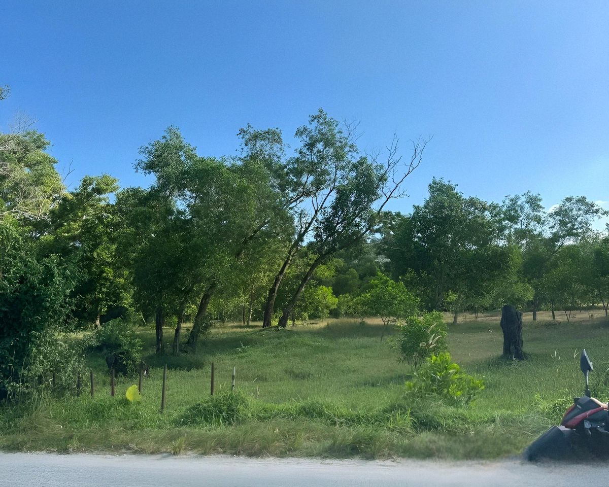 ขายที่ดินภูเก็ต : ขายที่ดินแปลงใหญ่ กมลา ภูเก็ต 22-2-04 ไร่ พื้นราบ วิวภูเขา ใกล้หาดกมลา เพียง 1.2 กม. ราคาเพียง 460 ล้าน