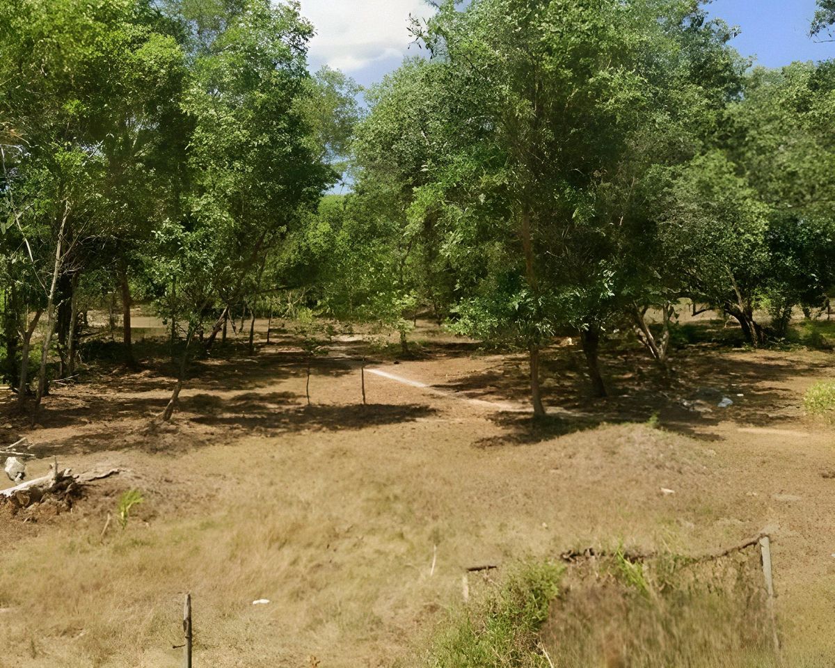 ขายที่ดินภูเก็ต : ขายที่ดินแปลงใหญ่ กมลา ภูเก็ต 22-2-04 ไร่ พื้นราบ วิวภูเขา ใกล้หาดกมลา เพียง 1.2 กม. ราคาเพียง 460 ล้าน