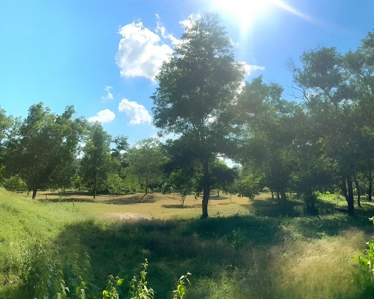 ขายที่ดินภูเก็ต : ขายที่ดินแปลงใหญ่ กมลา ภูเก็ต 22-2-04 ไร่ พื้นราบ วิวภูเขา ใกล้หาดกมลา เพียง 1.2 กม. ราคาเพียง 460 ล้าน