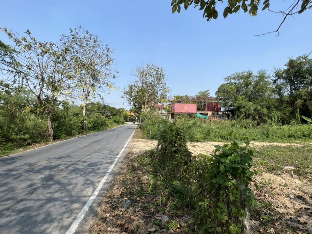 ขายที่ดินพุทธมณฑล ศาลายา : ขายที่ดินถมแล้ว หน้าติดถนน หลังติดคลอง ทำเลดี ใกล้ร้านอาหารนามิ ศาลายา