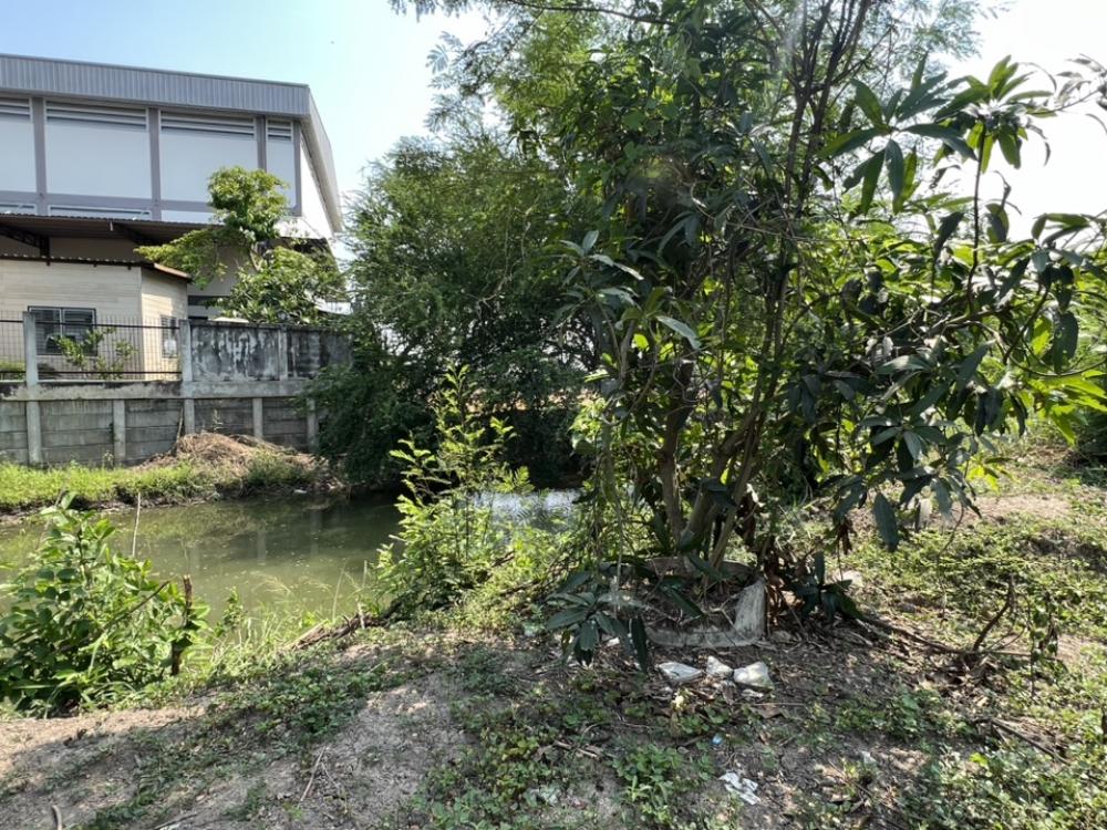 ขายที่ดินพุทธมณฑล ศาลายา : ขายที่ดินถมแล้ว หน้าติดถนน หลังติดคลอง ทำเลดี ใกล้ร้านอาหารนามิ ศาลายา