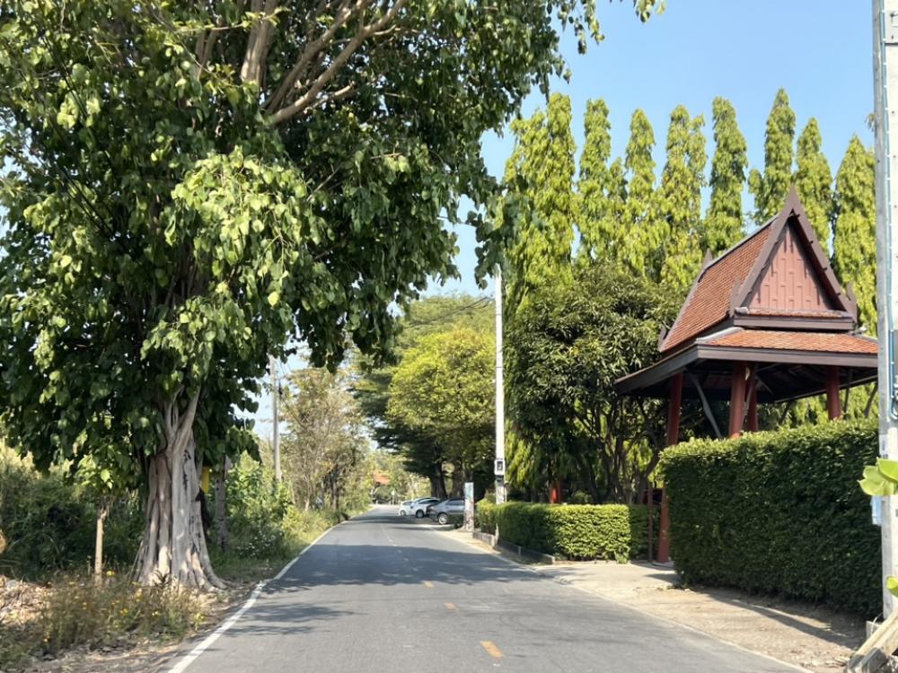 ขายที่ดินพุทธมณฑล ศาลายา : ขายที่ดินถมแล้ว หน้าติดถนน หลังติดคลอง ทำเลดี ใกล้ร้านอาหารนามิ ศาลายา