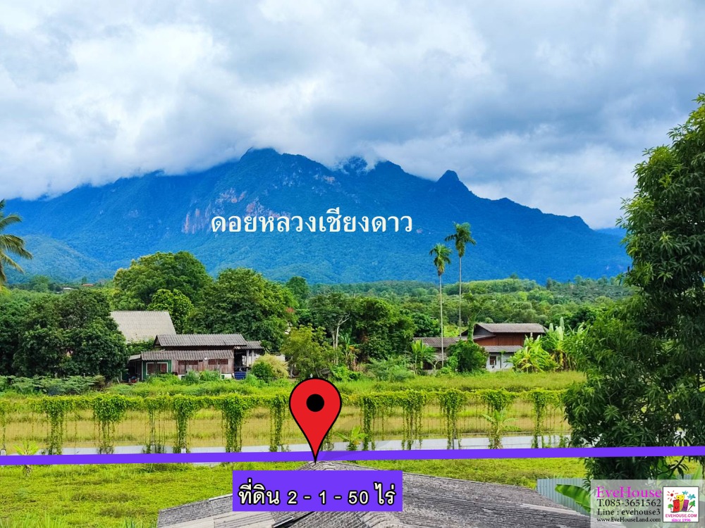 For SaleLandChiang Mai : Land For Sale In Chiang Dao, SIze 2 Rai 1 Ngan Doi Luang Chiang Dao View, 50 m. from Chotana road.