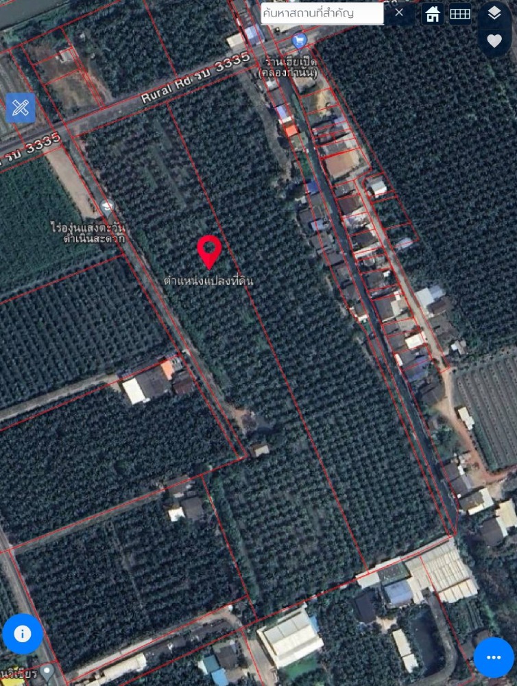 ขายที่ดินราชบุรี : ขายสวนมะพร้าวน้ำหอม 16 ไร่  พร้อมตัด หลัก 5 ดำเนินสะดวก ราชบุรี