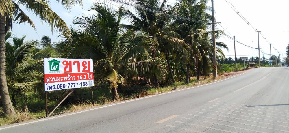 ขายที่ดินราชบุรี : ขายสวนมะพร้าวน้ำหอม 16 ไร่  พร้อมตัด หลัก 5 ดำเนินสะดวก ราชบุรี