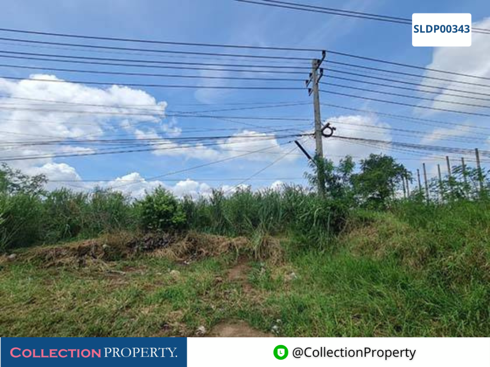 ขายที่ดินโคราช นครราชสีมา : 🔥 ขายที่ดินเปล่า 40 ไร่ 2 งาน 4 ตร.ว. ปากช่อง