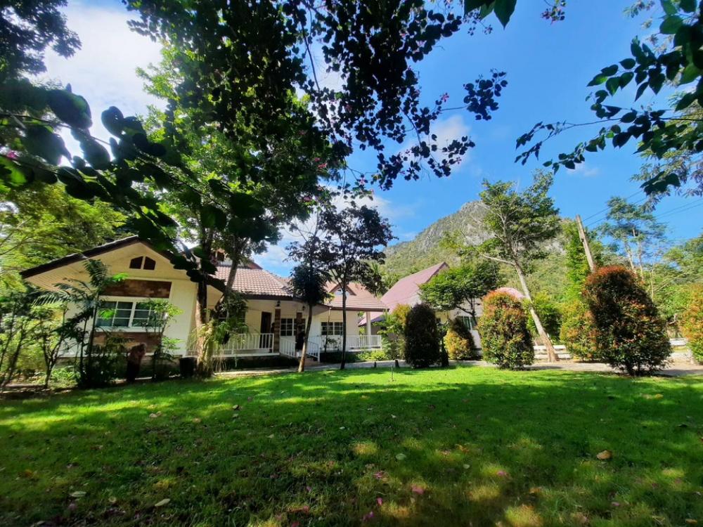 For RentHousePak Chong KhaoYai : The whole house for rent is ready. Good weather all year The house is cool. Near many tourist attractions