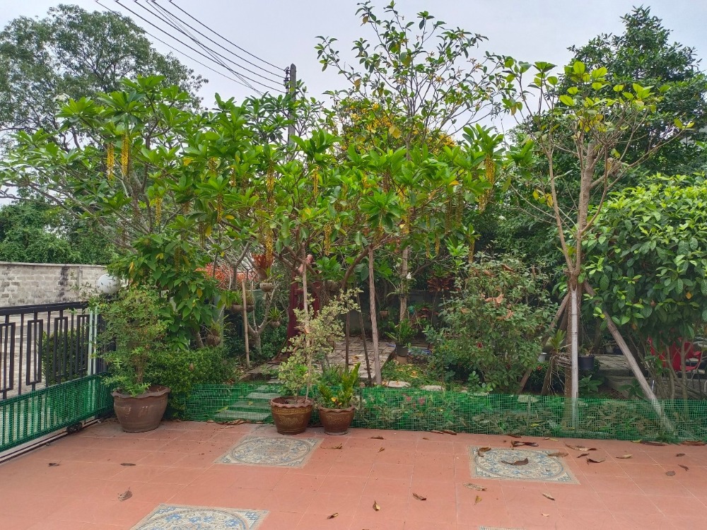 ขายบ้านเชียงราย : ขายบ้านเดี่ยวพร้อมอยู่ หมู่บ้านภูวารีวิลล่า - เชียงราย เนื้อที่ 94 ตรว. ขายพร้อมเฟอร์นิเจอร์