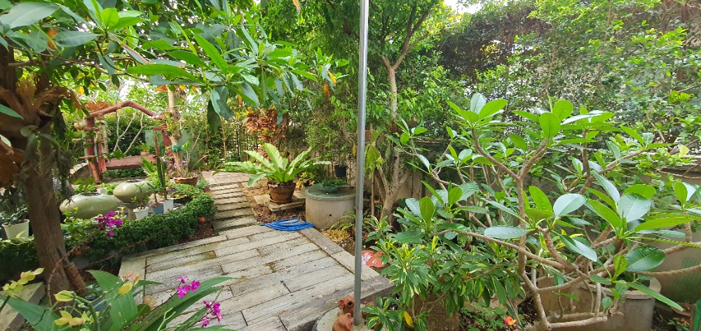 ขายบ้านเชียงราย : ขายบ้านเดี่ยวพร้อมอยู่ หมู่บ้านภูวารีวิลล่า - เชียงราย เนื้อที่ 94 ตรว. ขายพร้อมเฟอร์นิเจอร์