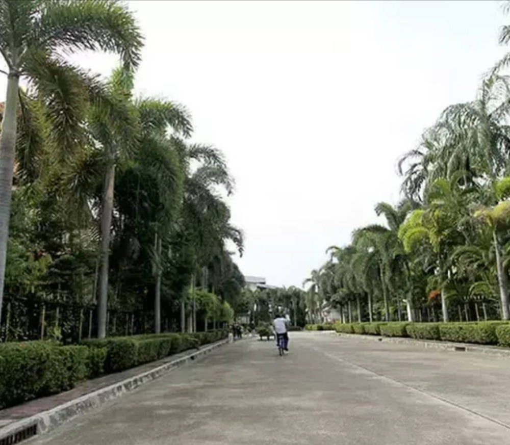 ขายบ้านพระราม 2 บางขุนเทียน : ขายบ้านเดี่ยว 2 ชั้น ลัดดารมย์ อิลิแกนซ์ พระราม 2  เนื้อที่ 104.5 ตารางวา พท.ใช้สอย 417 ตร.ม. 3  ห้องนอน 3 ห้องน้ำ 1 ห้องโถง 1 ห้องครัว ถนนพระราม 2 ฝั่งขาออก ใกล้ถนนกาญจนาภิเษก  12.9 ลบ.*