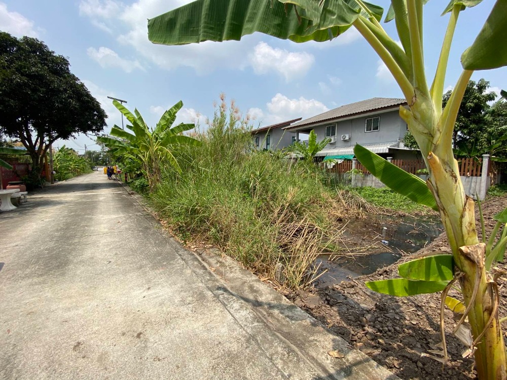 For SaleLandPathum Thani,Rangsit, Thammasat : Land for sale / rent, Bang Khu Wat Nuea, 100 square meters, Mueang Pathum Thani District