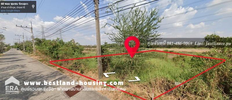 For SaleLandPathum Thani,Rangsit, Thammasat : Land for sale, 50 square meters in Soi Chak Supha Community, Khlong 7, Rangsit-Nakhon Nayok Road (Tor Lor. 305), Pathum Thani.