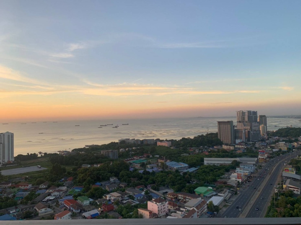 ให้เช่าคอนโดศรีราชา แหลมฉบัง บ้านบึง : ให้เช่าคอนโด ไนท์บริดจ์ ดิโอเชียล ศรีราชา วิวทะเล